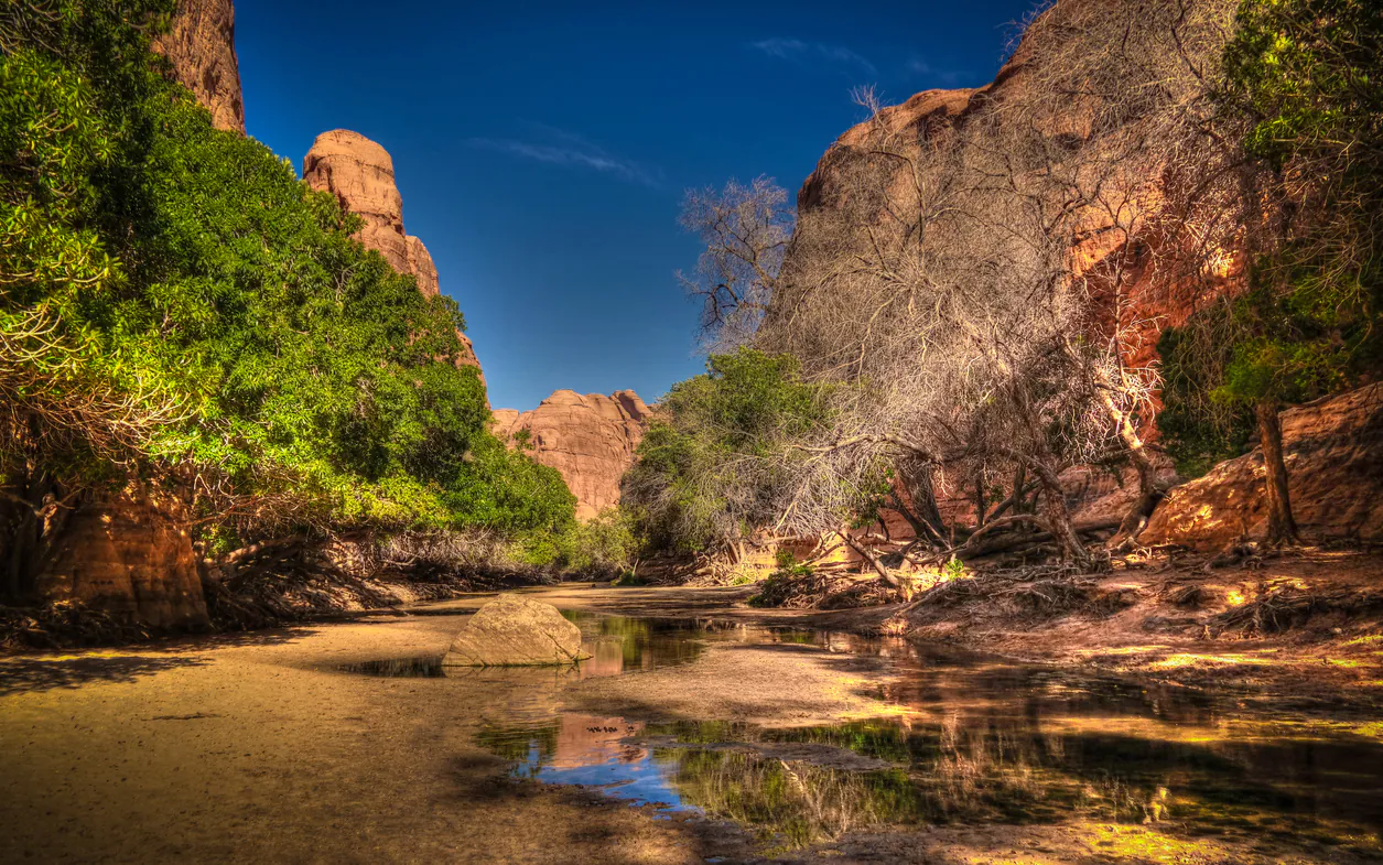 Cheap Flights To Chad | Compare Chad Flights