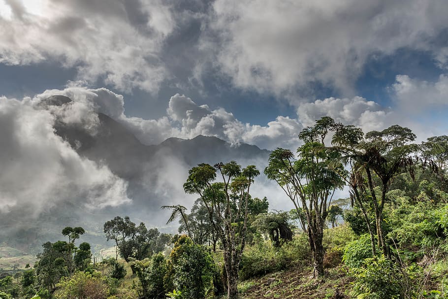 Cheap Flights To Comoros | Compare Comoros Flights